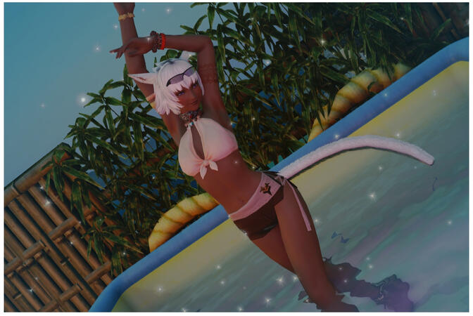 Hot Cat Summer